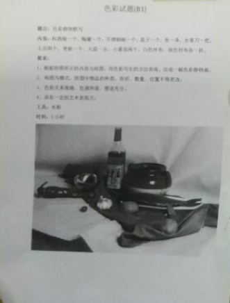 2017年鄭州大學(xué)美術(shù)類?？忌士碱}(山東考點).png